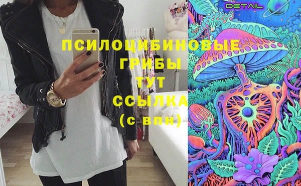 герыч Верхний Тагил